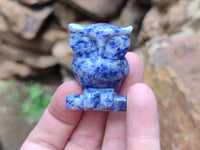 Polished Sodalite Owl Carvings - sold per item - From Namibia