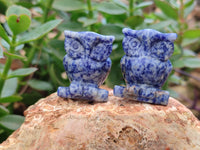 Polished Sodalite Owl Carvings - sold per item - From Namibia