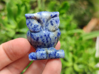 Polished Sodalite Owl Carvings - sold per item - From Namibia