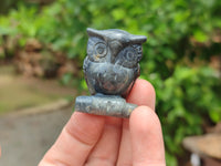 Polished Banded Tiger Iron Jasper Owl Carvings - sold per item - From Australia