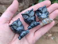 Polished Banded Tiger Iron Jasper Owl Carvings - sold per item - From Australia