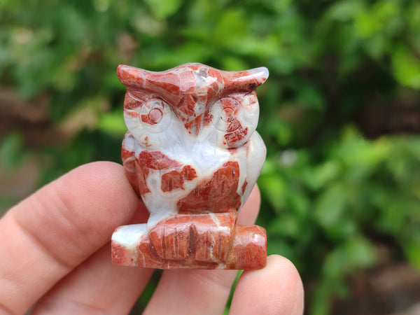 Polished Small Brecciated Jasper Owl Carving - sold per item - From South Africa