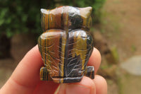 Polished Mini Banded Tiger Iron Jasper Owl Carvings - sold per item - From Australia