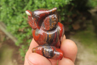 Polished Mini Banded Tiger Iron Jasper Owl Carvings - sold per item - From Australia