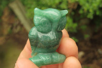 Polished Mini Aventurine Owl Carvings - sold per item - From Zimbabwe