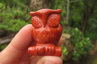 Polished Mini Red Jasper Owl Carvings - sold per item - From South Africa