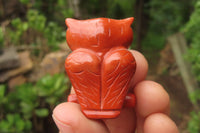 Polished Mini Red Jasper Owl Carvings - sold per item - From South Africa