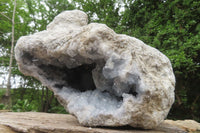 Natural Celestite Geode Specimen x 1 From Sakoany, Madagascar