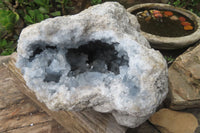 Natural Celestite Geode Specimen x 1 From Sakoany, Madagascar