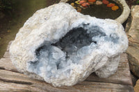 Natural Celestite Geode Specimen x 1 From Sakoany, Madagascar