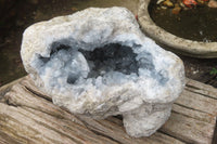 Natural Celestite Geode Specimen x 1 From Sakoany, Madagascar