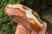 Polished On One Side Polychrome Jasper x 4 From Mahajanga, Madagascar