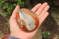 Polished On One Side Polychrome Jasper x 4 From Mahajanga, Madagascar