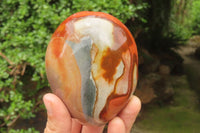 Polished On One Side Polychrome Jasper x 4 From Mahajanga, Madagascar