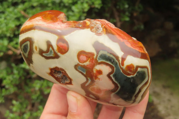 Polished On One Side Polychrome Jasper x 4 From Mahajanga, Madagascar