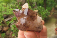 Natural Smokey Amethyst Crystals x 12 From Chiredzi, Zimbabwe