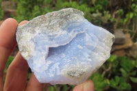 Natural Blue Lace Agate Specimens x 12 From Malawi