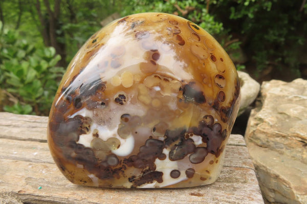 Polished On One Side Dendritic Agate Standing Free Forms x 3 From Madagascar