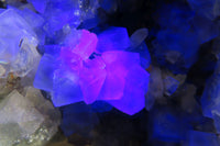 Natural Cubic Fluorite Specimen x 1 From Namibia