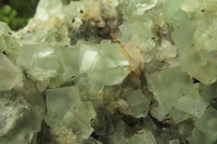 Natural Cubic Fluorite Specimen x 1 From Namibia