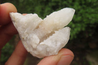 Natural Spirit Quartz Clusters x 16 From Boekenhouthoek, South Africa