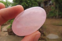 Polished Rose Quartz Palm Stones x 24 From Madagascar