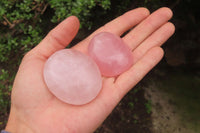 Polished Rose Quartz Palm Stones x 24 From Madagascar