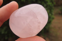 Polished Rose Quartz Palm Stones x 24 From Madagascar