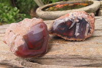 Polished On One Side Red Sashe River Agate x 12 From Zimbabwe