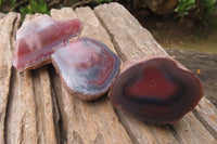 Polished On One Side Red Sashe River Agate x 12 From Zimbabwe