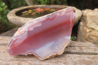 Polished On One Side Red Sashe River Agate x 12 From Zimbabwe