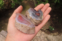 Polished On One Side Red Sashe River Agate x 12 From Zimbabwe