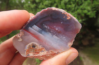 Polished On One Side Red Sashe River Agate x 12 From Zimbabwe