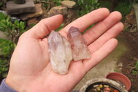 Natural Red Hematoid Quartz Crystals x 35 From Karoi, Zimbabwe