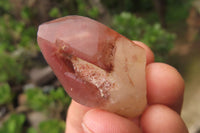 Natural Red Hematoid Quartz Crystals x 35 From Karoi, Zimbabwe