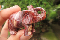 Polished Small Brecciated Jasper Elephant Carving - sold per item - From South Africa