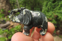 Polished Small Basalt Mint Amygdale Elephant Carving - sold per item - From South Africa