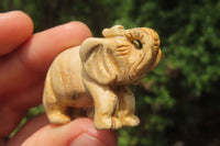 Polished Small Namibian Desert Picture Stone Jasper Elephant Carving - sold per item - From Namibia