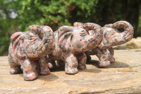 Polished Small Snakeskin Rhyolite Jasper Elephant Carving - sold per item - From Australia