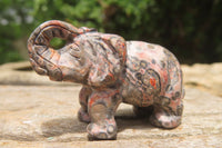 Polished Small Snakeskin Rhyolite Jasper Elephant Carving - sold per item - From Australia