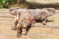 Polished Small Snakeskin Rhyolite Jasper Elephant Carving - sold per item - From Australia