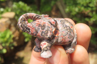 Polished Small Snakeskin Rhyolite Jasper Elephant Carving - sold per item - From Australia