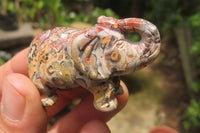 Polished Small Snakeskin Rhyolite Jasper Elephant Carving - sold per item - From Australia