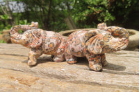 Polished Small Snakeskin Rhyolite Jasper Elephant Carving - sold per item - From Australia