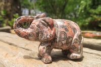 Polished Small Snakeskin Rhyolite Jasper Elephant Carving - sold per item - From Australia