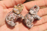 Polished Small Snakeskin Rhyolite Jasper Elephant Carving - sold per item - From Australia