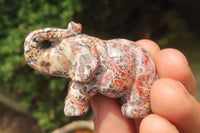 Polished Small Snakeskin Rhyolite Jasper Elephant Carving - sold per item - From Australia