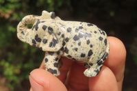 Polished Small Dalmatian Jasper Elephant Carving - sold per item - From Mexico