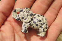 Polished Small Dalmatian Jasper Elephant Carving - sold per item - From Mexico