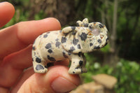 Polished Small Dalmatian Jasper Elephant Carving - sold per item - From Mexico